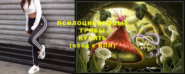 таблы Алексеевка