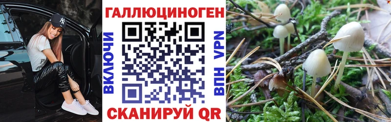 где можно купить наркотик  кракен маркетплейс  Галлюциногенные грибы мицелий  Болотное 